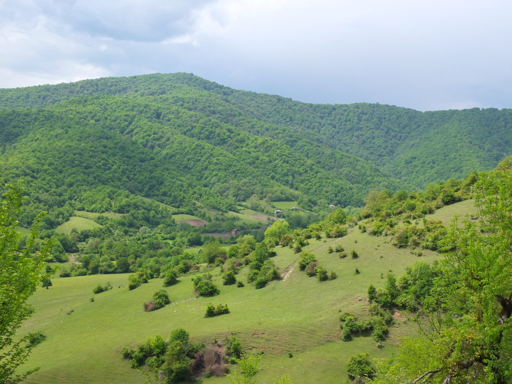 Dedispureli village Georgian population near Jokolo