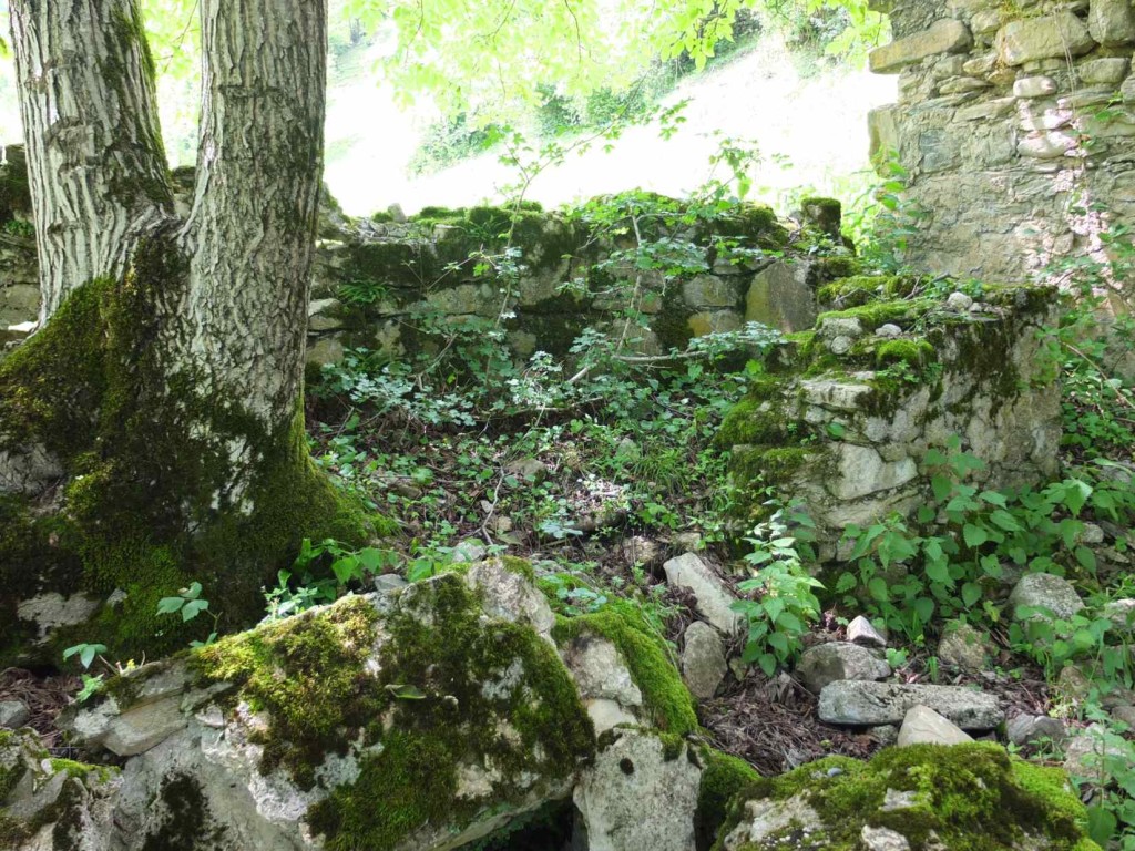 Ruins of old houses in Birkiani3