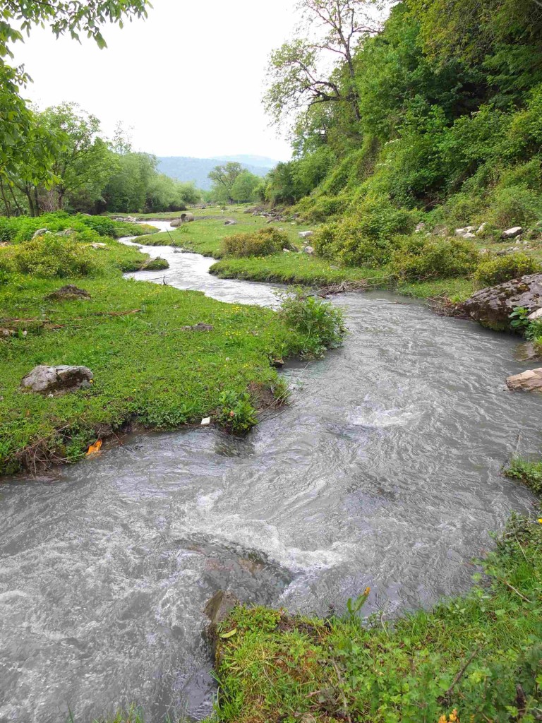 Stream in Jokolo