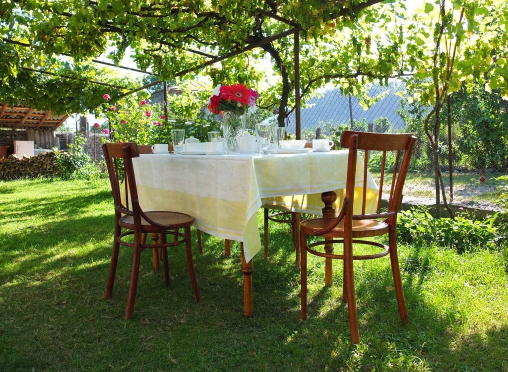 Dining Under Grapevines in Garden 1